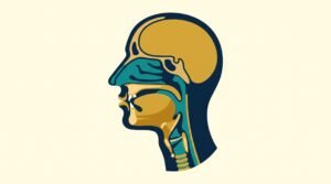 Tajweed meaning illustrated through simple mouth and throat articulation areas